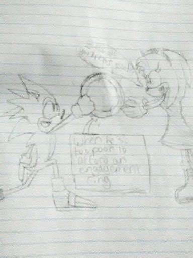 The Proposal Sonic The Hedgehog Amino