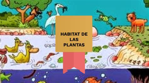 Habitat De Las Plantas By Danna Sofia Castro Gomez On Prezi