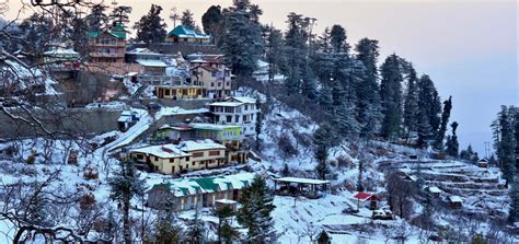 When Is The Best Time To Visit Dharamshala Winter Or Summer