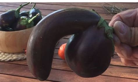 Erotic Eggplant Offers Satisfaction Guarantee Life Life And Style