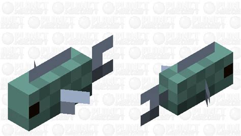 Minecraft Tropical Fish PNG