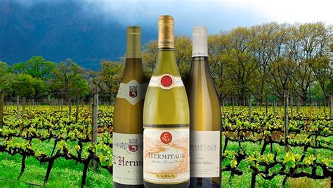 50 Most Popular White Wines in the World - TasteAtlas