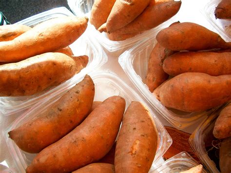 La Batata O Boniato Sus Propiedades Nutricionales Y Usos Culinarios