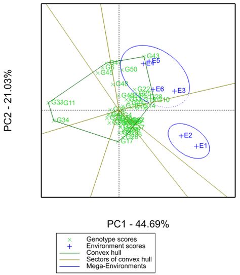 Which Won Where View Of The Gge Biplot Showing Best Performing Hybrid