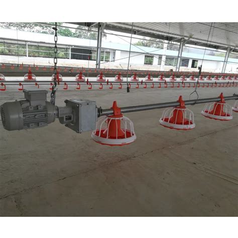 Automatic Broiler Pan Feeding Line For Poultry Farming Broiler Floor