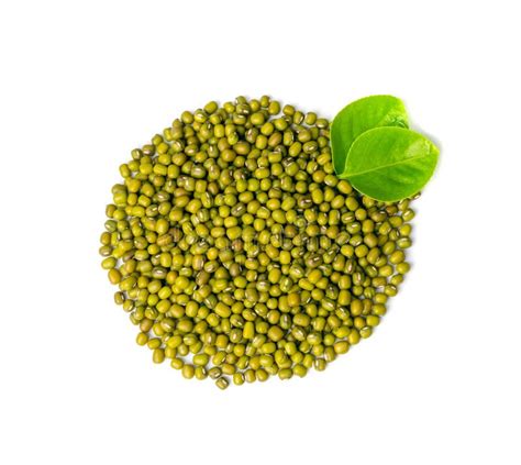 Dry Raw Mung Beans Vigna Radiata Seeds Green Gram Maash Or Moong