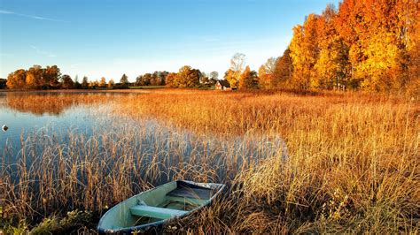 Fonds D Cran Automne Paysage Lac Herbe De L Eau Bateau Arbres