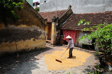 Tổng Hợp 500 Hình ảnh Làng Quê Bắc Bộ Xưa để Ngắm Nhìn Vẻ đẹp Cổ Kính