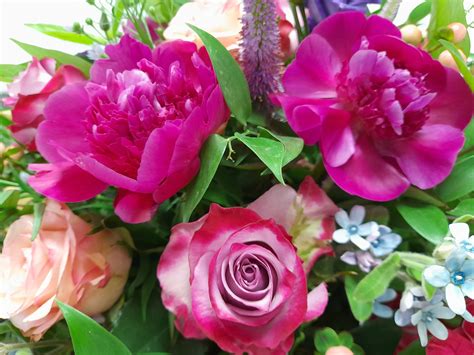 Recent Obituaries and Memorial Tributes at Smith Funeral Services 7