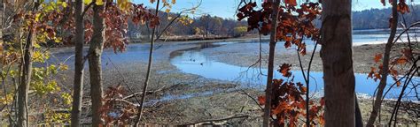 Arlington Reservoir Trail: 286 Reviews, Map - Massachusetts | AllTrails