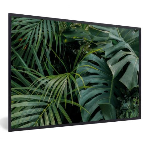 Poster Jungle Nu Extra Voordelig Topdoek Nl