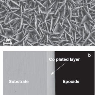 Sem Surface Morphology A And Cross Section B Of The As Coated Fecr