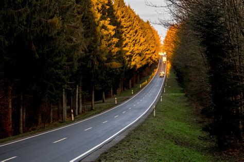 Night Forest Highways