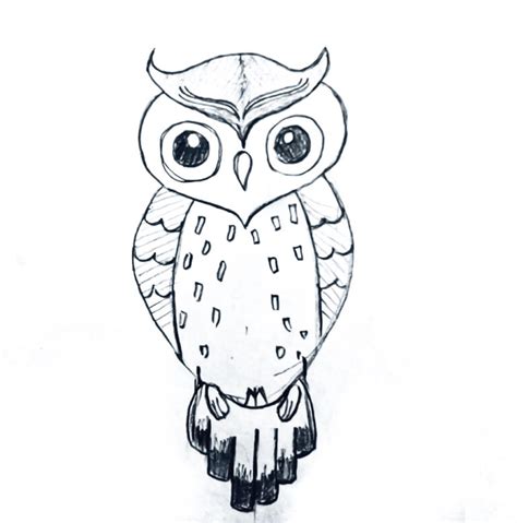 Owl Drawing Easy Step Draw Images