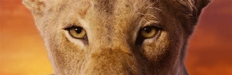 Lion King Nala Eyes