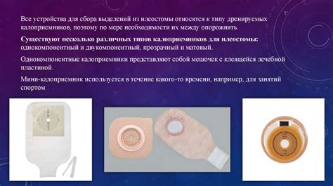 Стомы. Виды стом - презентация онлайн