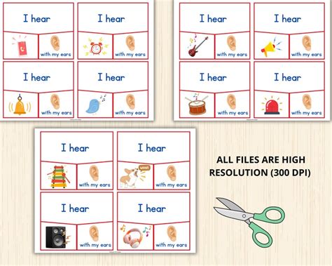 Five Senses Sorting Activityfive Senses Puzzle5 Sense Activities5