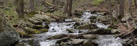 Shenandoah National Park Waterfalls | The Complete Guide - TMBtent