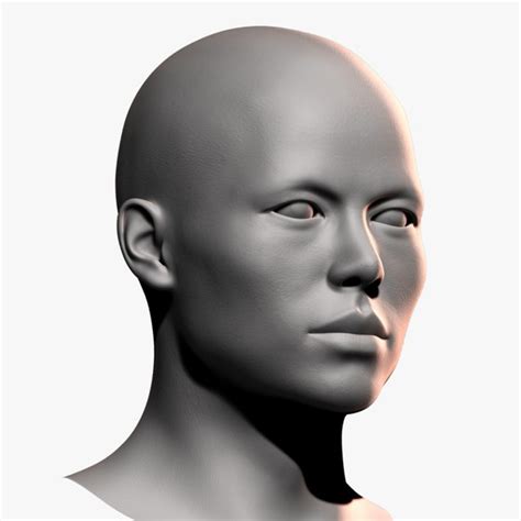 modelo 3d Malla de base de cabeza masculina de busto asiático