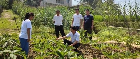 永福镇：高温“烤”验下，抗旱保供保苗夺丰收饮水水源地指导