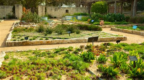 Lady Bird Johnson Wildflower Center In Austin Texas Expedia