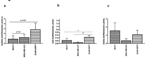 Figure 3 From Errαvdr Axis Promotes Calcitriol Degradation And