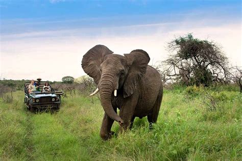 Tour Di Un Intera Giornata Del Parco Nazionale Del Lago Nakuru