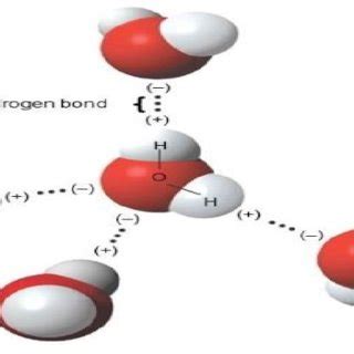 Water molecules are connected by hydrogen bonding [6]. | Download ...