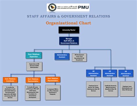 HR Organizational Chart :: Human Resources (HR) :: PMU, Prince Mohammad