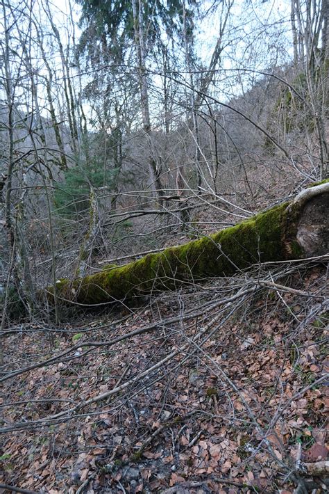 Le Bouchet Mont Charvin Guilhem Vellut Flickr