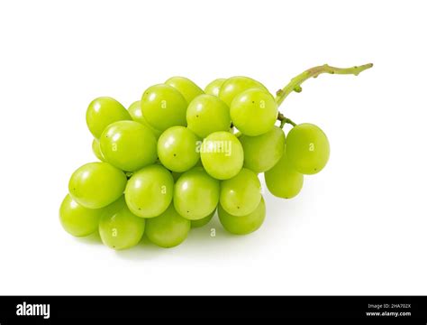 Shine Muscat Grapes On A White Background White Grapes Japanese