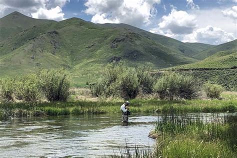 Silver Creek A Spring Creek In Picabo Idaho Fly Fishing Waters