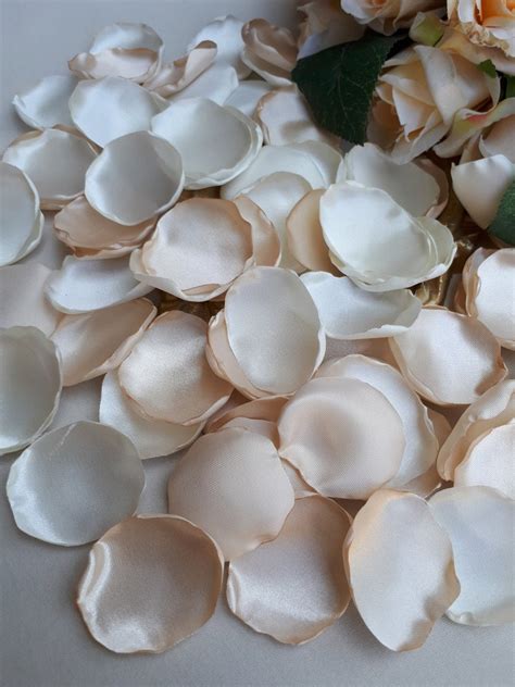 Champagne Rose Petals Ivory Rose Petals Wedding Decoration Etsy