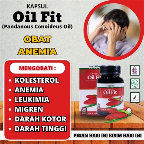 Jual Oilfit Herbal Alami Ekstrak Buah Merah Papua Asli Untuk