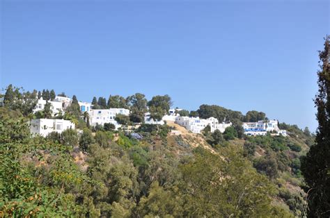 Voyager Autrement Sur Les Traces Des Vestiges Carthage Sidi Bou