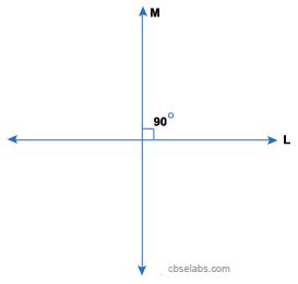 Perpendicular Lines - CBSE Tuts