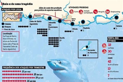 Tubar Es Em Pernambuco Surge Aki