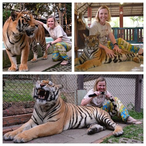 Having Fun With Some Enormous Danger Pussy Scrolller