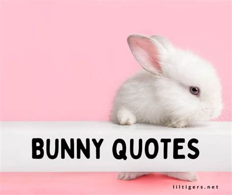 130 Best Bunny Quotes for Kids - Lil Tigers