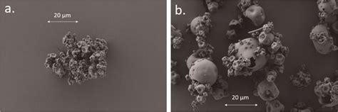 Sem Images Of The Spray Dried Particles At Magnification Shown