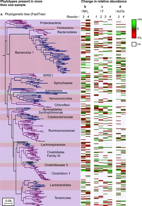 Phylogenetic Tree Of Otus That Appear In More Than One Sample From