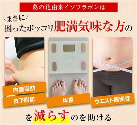 【50offクーポン】 ダイエットサプリ 体重やお腹の脂肪を落とす 腹脂ヘルス 腹脂ヘルプ 内臓脂肪 皮下脂肪 ダイエット サプリ 葛の花