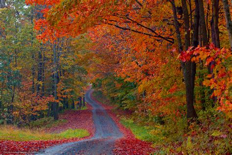 Vermont Autumn Wallpaper - WallpaperSafari