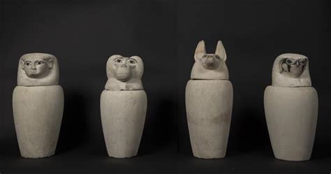 Canopic Jar With A Baboon Headed Lid Collections Antiquities Museum