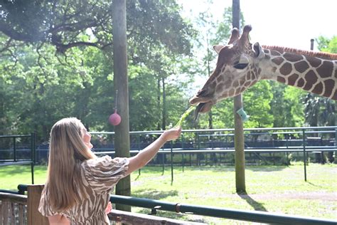 Celebrate Endangered Species Day at Audubon Zoo