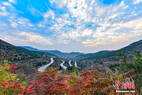 金秋美如画 打卡各地看绚丽秋景 荔枝网