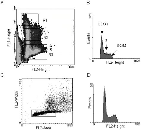 Cell Cycle Analysis Of Hep 2 Cells Transfected With Pegfpc1 Nm23 H1 A