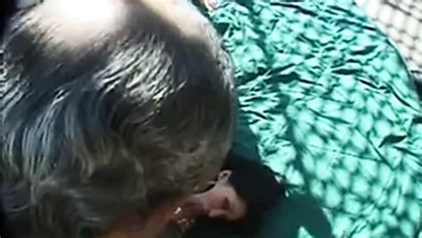 Free Hairy Gangbang Porn Videos 2 XHamster