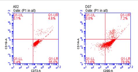 Figure From Ginsenoside Rg Interferes With The Progression Of