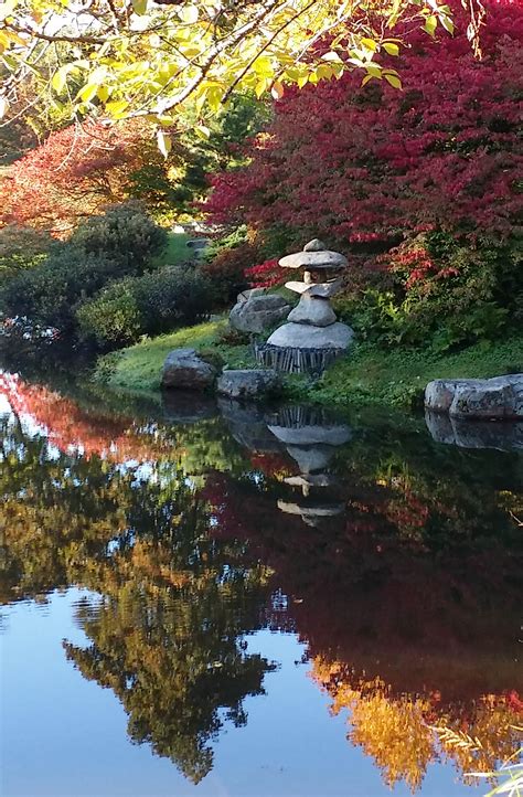 asticou azalea garden maine 6